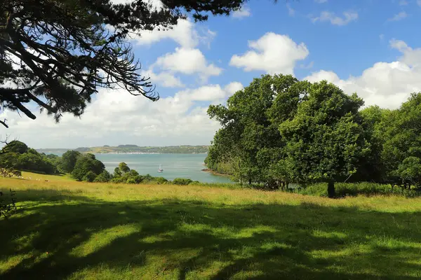 Uitzicht Rivier Fal Vanaf Weilanden Van Trelissick Tuinen — Stockfoto