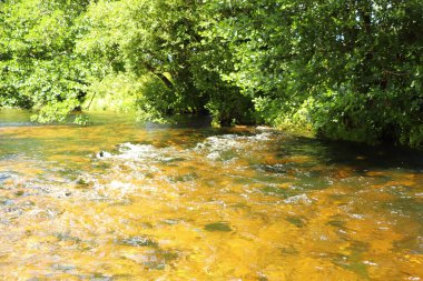 Cornwall 'daki Restormal Kalesi' nin etrafındaki akarsular
