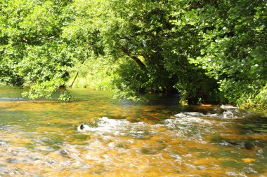 Cornwall 'daki Restormal Kalesi' nin etrafındaki akarsular