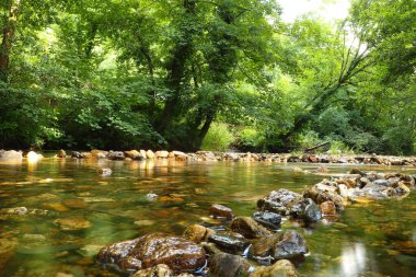 Cornwall 'daki Restormal Kalesi' nin etrafındaki akarsular