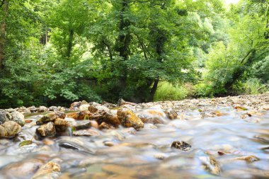 Cornwall 'daki Restormal Kalesi' nin etrafındaki akarsular