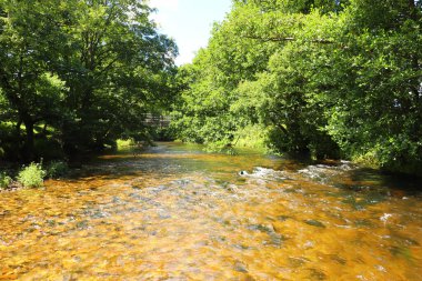 Cornwall 'daki Restormal Kalesi' nin etrafındaki akarsular