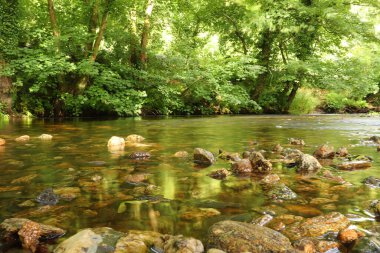 Altındaki çamurlu kahverengi taşları gösteren bir Cornish akıntısının berrak suları