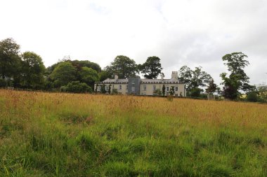 Restormel malikanesinin bakışları altında altın buğday