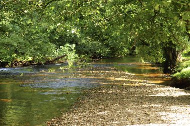 Altındaki çamurlu kahverengi taşları gösteren bir Cornish akıntısının berrak suları