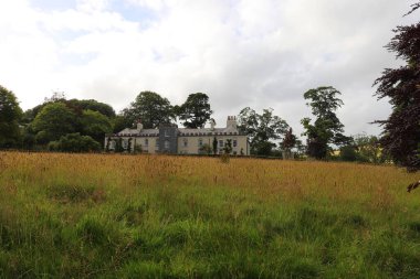 Restormel malikanesinin bakışları altında altın buğday