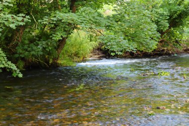 Altındaki çamurlu kahverengi taşları gösteren bir Cornish akıntısının berrak suları