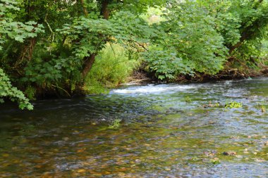 Altındaki çamurlu kahverengi taşları gösteren bir Cornish akıntısının berrak suları