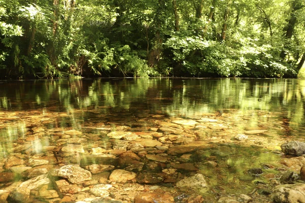 Чисті Води Корнської Річки Брудно Коричневими Камінцями — стокове фото