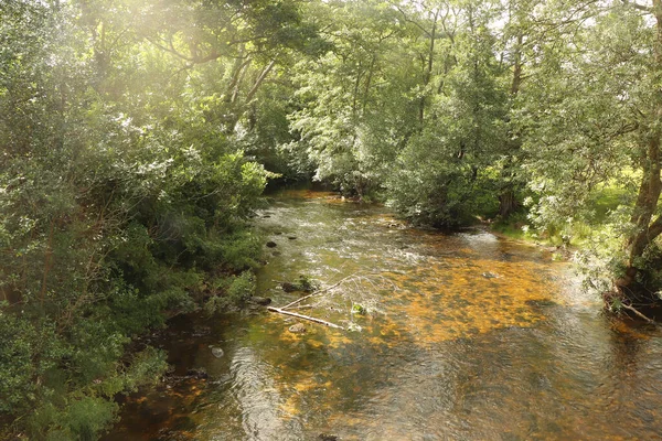 Чисті Води Корнської Річки Брудно Коричневими Камінцями — стокове фото