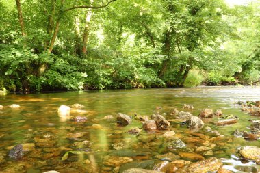 Altındaki çamurlu kahverengi taşları gösteren bir Cornish akıntısının berrak suları