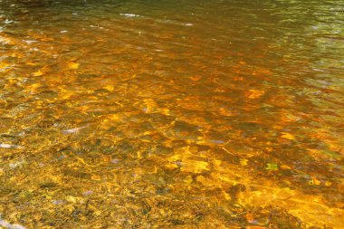 Altındaki çamurlu kahverengi taşları gösteren bir Cornish akıntısının berrak suları