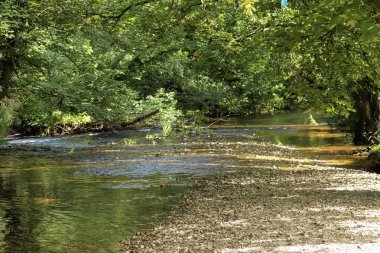 Altındaki çamurlu kahverengi taşları gösteren bir Cornish akıntısının berrak suları