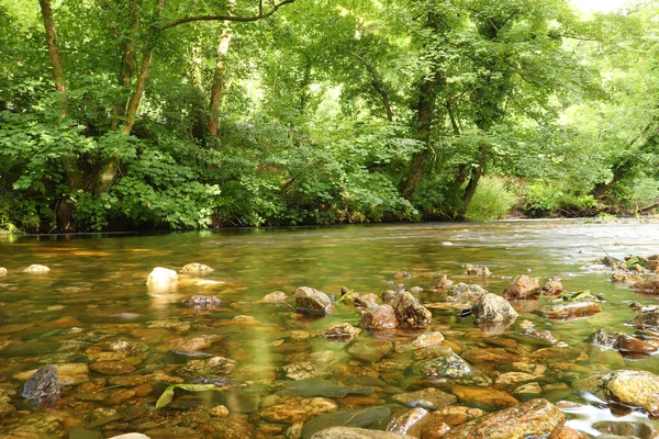 Clear Waters Cornish Stream Showing Muddy Brown Stones — Stock Photo, Image