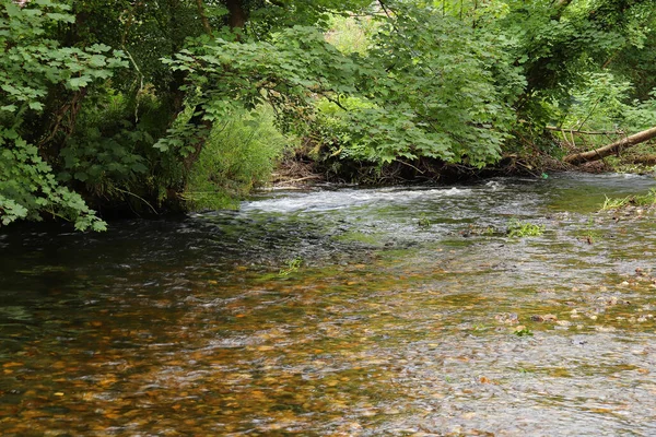 Altındaki çamurlu kahverengi taşları gösteren bir Cornish akıntısının berrak suları