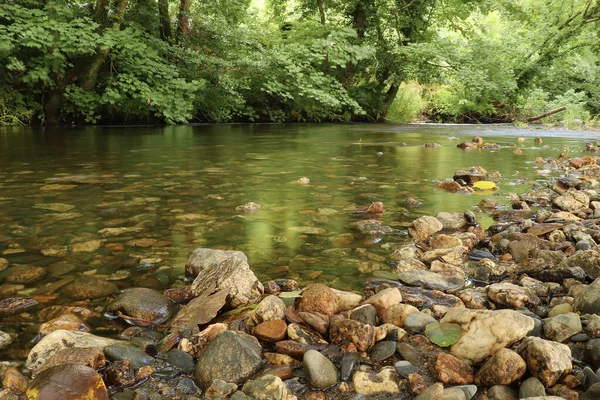 Clear Waters Cornish Stream Showing Muddy Brown Stones — Stock Photo, Image