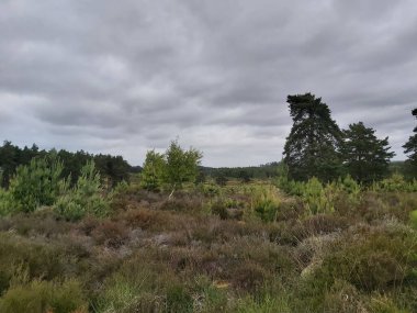 Tepeler ve vadiler boyunca panoramik manzara