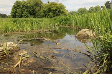 Zemin kat çamura yakın ve su bir dereden aşağı akıyor.