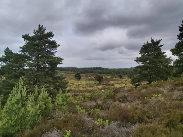 Tepeler Vadiler Boyunca Panoramik Manzara — Stok fotoğraf