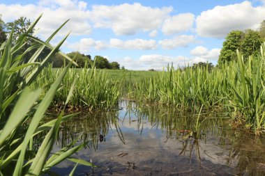 Zemin kat çamura yakın ve su bir dereden aşağı akıyor.