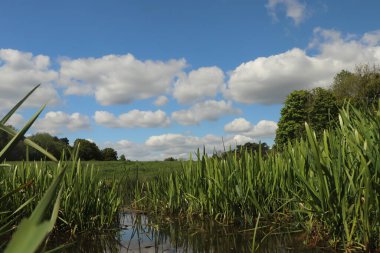 Zemin kat çamura yakın ve su bir dereden aşağı akıyor.