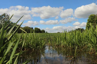 Zemin kat çamura yakın ve su bir dereden aşağı akıyor.