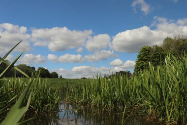 Zemin kat çamura yakın ve su bir dereden aşağı akıyor.