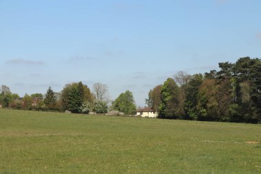 Hertfordshire 'da baharda geniş bir çayırda panoramik manzara