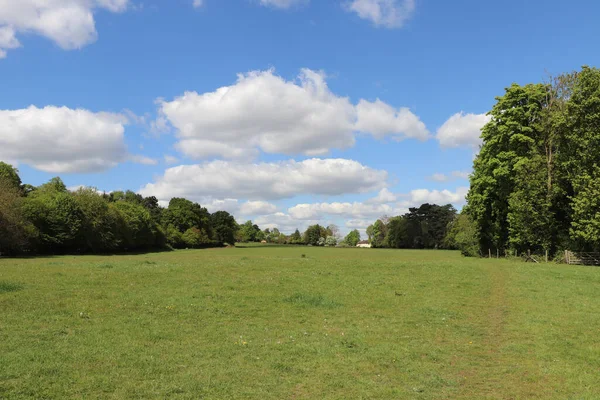 Vista Panorâmica Através Amplo Prado Primavera Hertfordshire — Fotografia de Stock