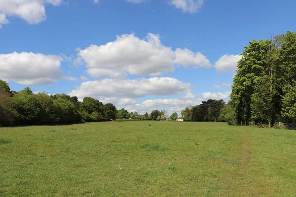 Vista Panorâmica Através Amplo Prado Primavera Hertfordshire — Fotografia de Stock