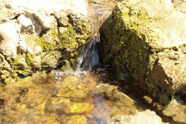 Bodennahe Nahaufnahme Von Schlamm Und Wasser Das Einen Bach Hinunterschwappt — Stockfoto