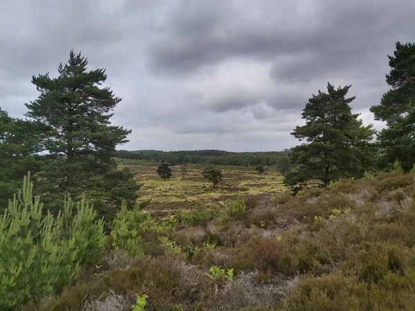 Tepeler Vadiler Boyunca Panoramik Manzara — Stok fotoğraf