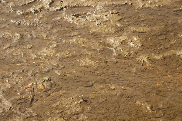 ระด นใกล ยงก บโคลนและน นคลอนลงล าธาร — ภาพถ่ายสต็อก