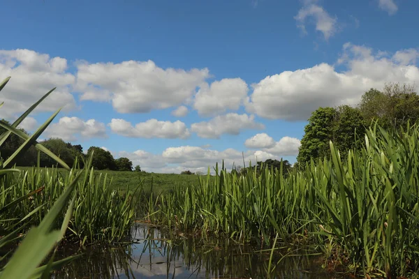 Zemin kat çamura yakın ve su bir dereden aşağı akıyor.