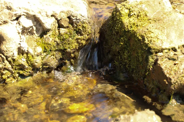 Bodennahe Nahaufnahme Von Schlamm Und Wasser Das Einen Bach Hinunterschwappt — Stockfoto