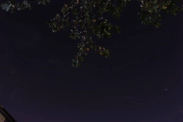 밤하늘 정원에는 할로겐 빛으로 비춘다 — 스톡 사진