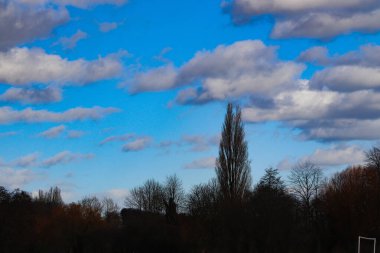 Sonbahar ağaçları açık mavi gökyüzüne karşı