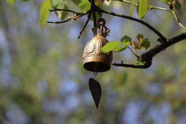 İnce bir iple ağaçtan sarkıyor