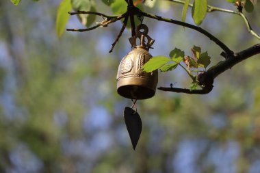 İnce bir iple ağaçtan sarkıyor