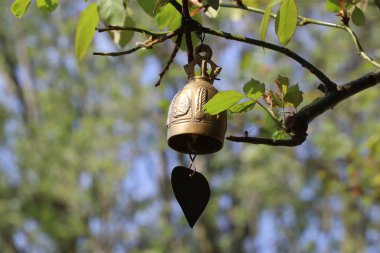 İnce bir iple ağaçtan sarkıyor