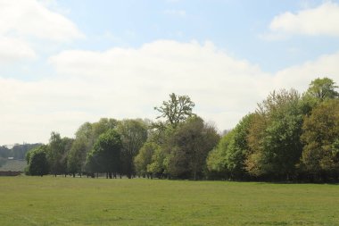 Hertfordshire 'da baharda geniş bir çayırda panoramik manzara
