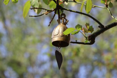 İnce bir iple ağaçtan sarkıyor