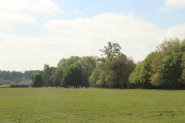 Hertfordshire 'da baharda geniş bir çayırda panoramik manzara