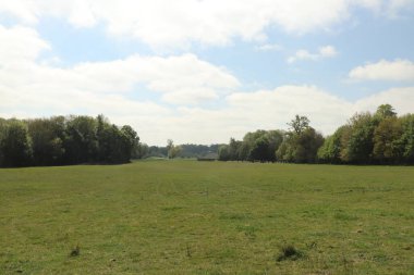 Hertfordshire 'da baharda geniş bir çayırda panoramik manzara
