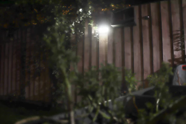 Nacht Hemel Tuin Verlicht Met Halogeen Zonlicht — Stockfoto