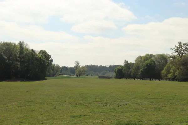 Panoramiczny Widok Szeroką Łąkę Wiosną Hertfordshire — Zdjęcie stockowe