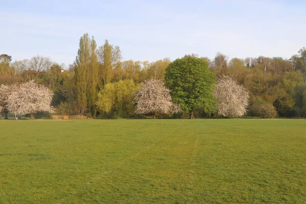 Vista Panorâmica Através Amplo Prado Primavera Hertfordshire — Fotografia de Stock