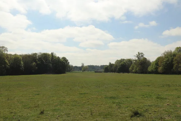 Hertfordshire 'da baharda geniş bir çayırda panoramik manzara