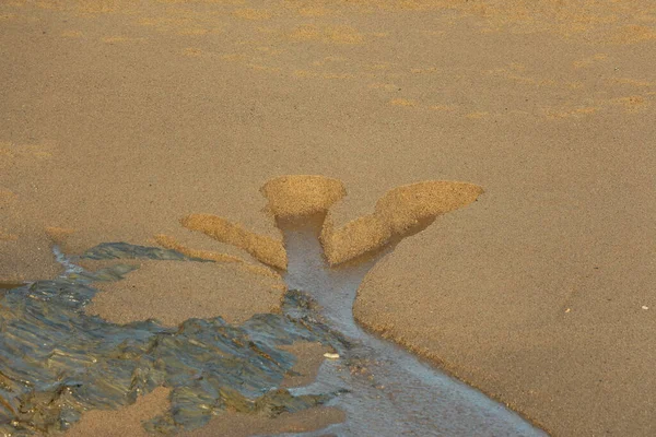 Frisches Regenwasser Sickert Aus Dem Sand Und Schneidet Sich Einen — Stockfoto