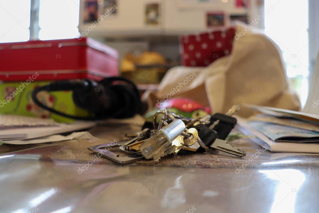 Turtle hiding behind keys or keys hiding behind a turtle